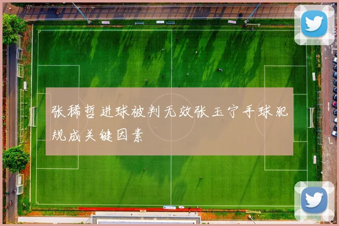 张稀哲进球被判无效张玉宁手球犯规成关键因素