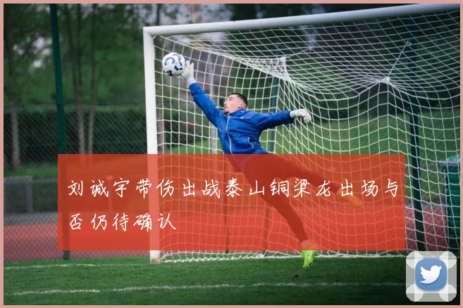 刘诚宇带伤出战泰山铜梁龙出场与否仍待确认